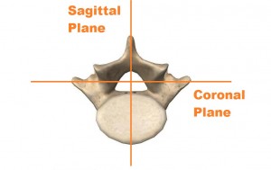 Coronal and sagittal planes