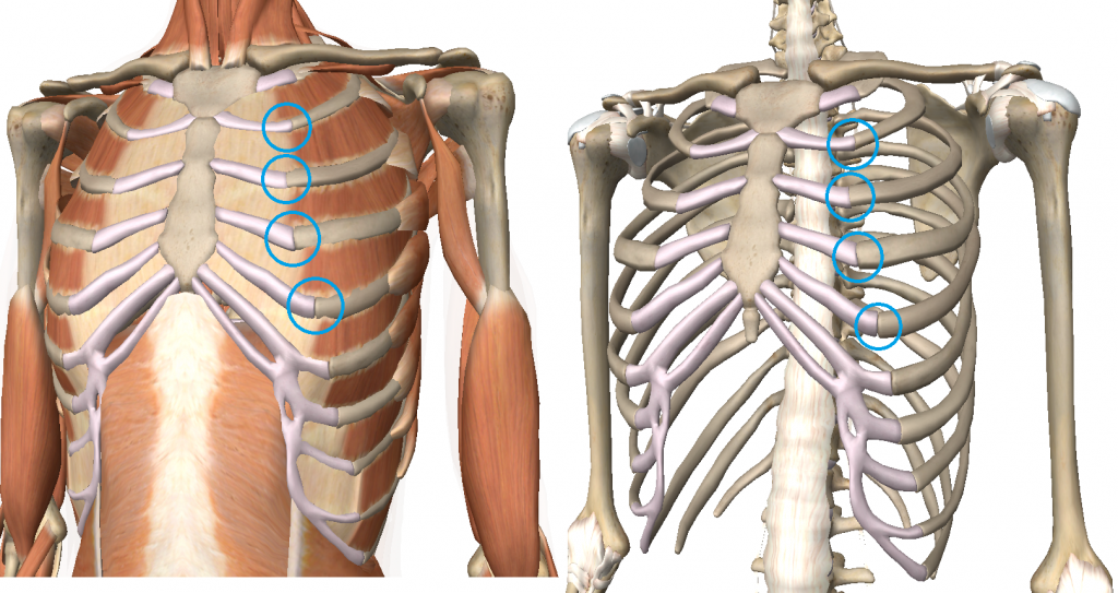 bone pain in ribs