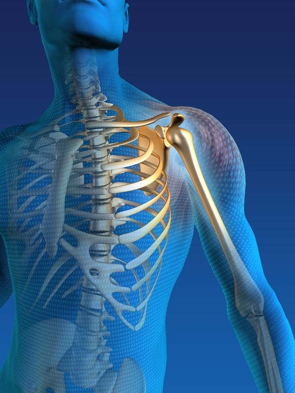 Shoulder Pain Treatment - alleviatepainclinic